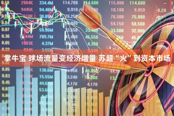 掌牛宝 球场流量变经济增量 苏超“火”到资本市场