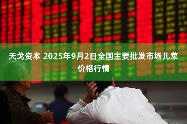 天戈资本 2025年9月2日全国主要批发市场儿菜价格行情